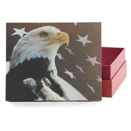 Scattering Freedom Urn Large/Adult