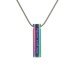 Cylinder Rainbow with Paw Prints - includes 19" chain