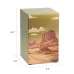 Life Canvas Desert Landscape Bronze Urn